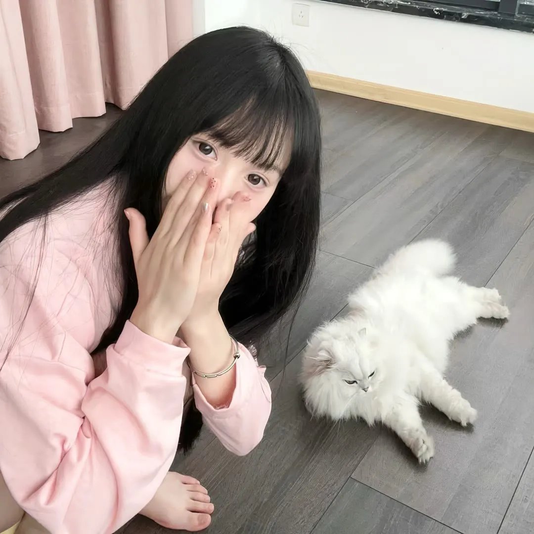 想飞的骆驼宝宝